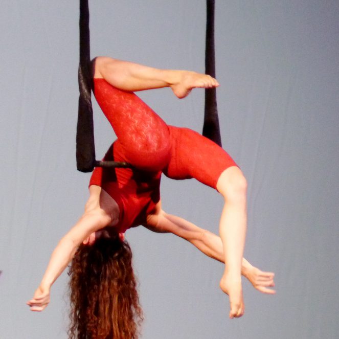 martina nova, performing artist, artist, acrobat, artista performativa, trapezista, acrobata aerea